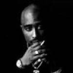 Trawer Cost Profile Picture