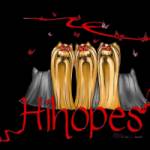 Hihopes Yorkshire Terriers Profile Picture